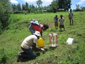 Soil trials in Kenya